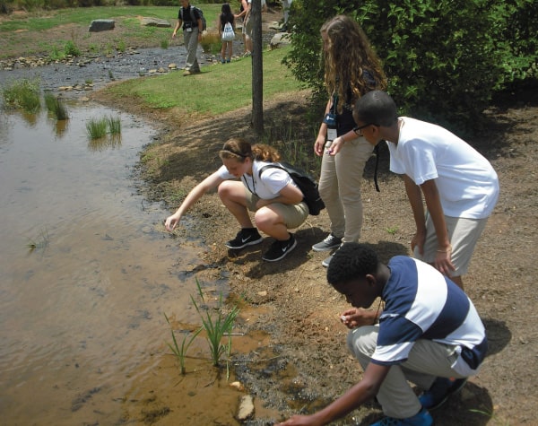 Experiential Learning Activities for Students