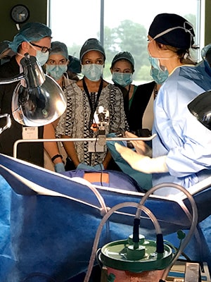 Advanced Emergency Medicine students experiencing the Gross Anatomy Lab