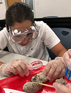 Student participates in a hands-on simulation during the NYLF Pathways to STEM Alumni program