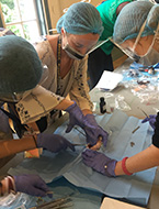 Students practice key surgical skills at NYLF Advanced Medicine & Health Care