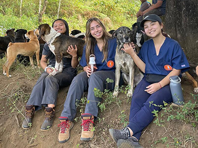 Students on daily hike with dogs from the Land of the Strays in Costa Rica