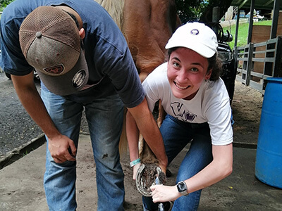 Students working with a horse in Belize