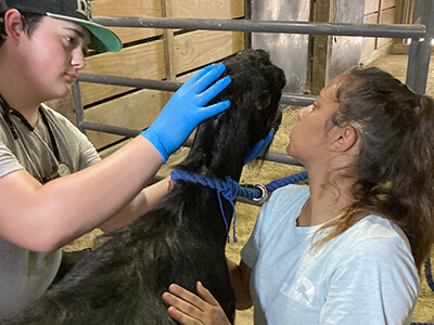 Students examine animals at Texas Zoo